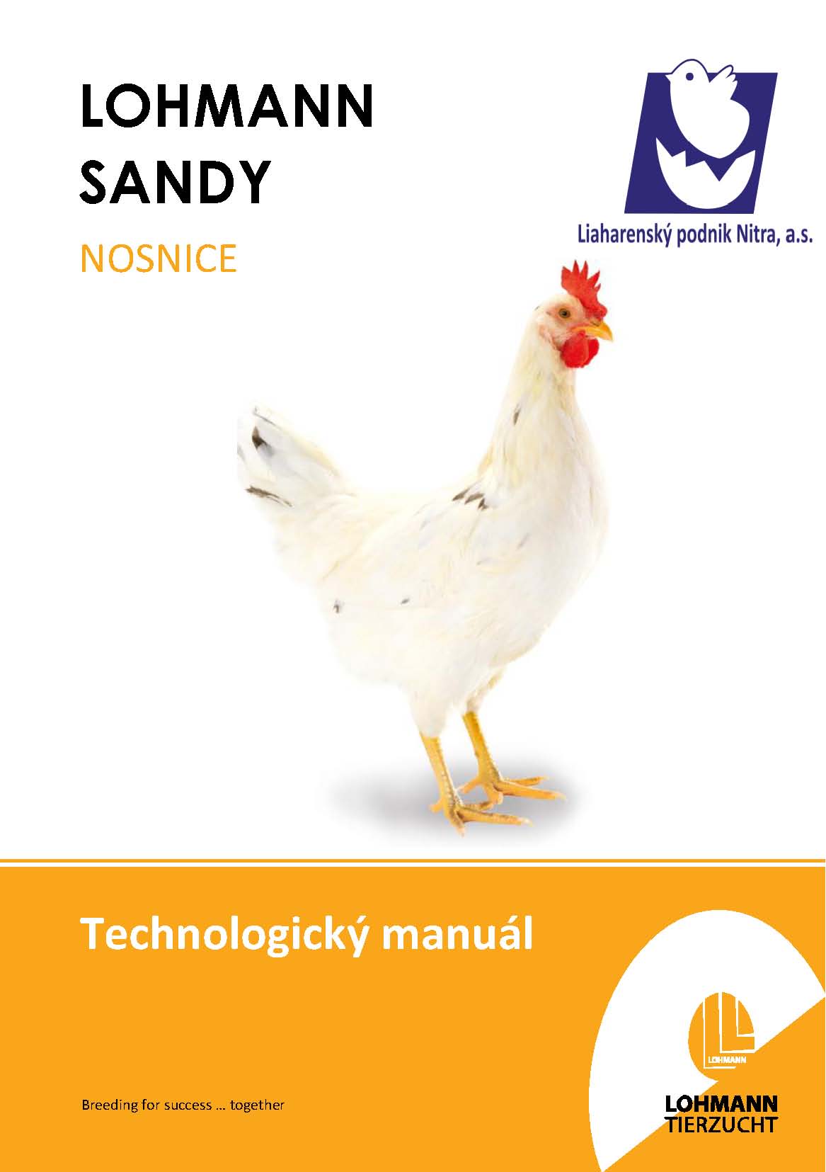 Manual Sandy